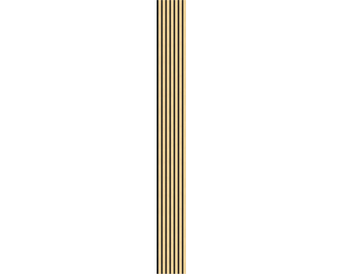5904533546859 2.jpg